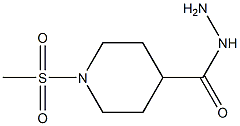 1-(METHYLSULFONYL)PIPERIDINE-4-CARBOHYDRAZIDE Struktur