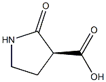 (S)-2-PYRROLIDINONE-3-CARBOXYLIC ACID Struktur