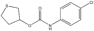 tetrahydrothiophen-3-yl N-(4-chlorophenyl)carbamate Struktur