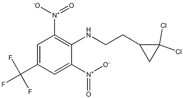 N1-[2-(2,2-dichlorocyclopropyl)ethyl]-2,6-dinitro-4-(trifluoromethyl)aniline Struktur