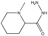 1-methylpiperidine-2-carbohydrazide Struktur