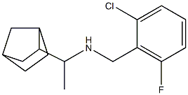 (1-{bicyclo[2.2.1]heptan-2-yl}ethyl)[(2-chloro-6-fluorophenyl)methyl]amine Struktur