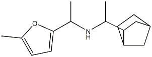 (1-{bicyclo[2.2.1]heptan-2-yl}ethyl)[1-(5-methylfuran-2-yl)ethyl]amine Struktur