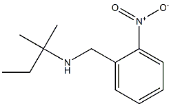 (2-methylbutan-2-yl)[(2-nitrophenyl)methyl]amine Struktur