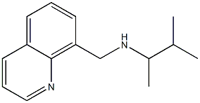 (3-methylbutan-2-yl)(quinolin-8-ylmethyl)amine Struktur