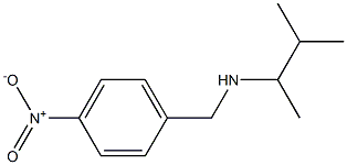 (3-methylbutan-2-yl)[(4-nitrophenyl)methyl]amine Struktur