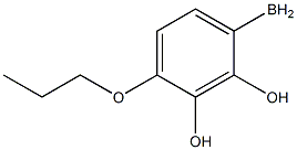 (4-propoxyphenyl)boranediol Struktur