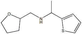 (oxolan-2-ylmethyl)[1-(thiophen-2-yl)ethyl]amine Struktur