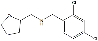 [(2,4-dichlorophenyl)methyl](oxolan-2-ylmethyl)amine Struktur