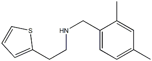 [(2,4-dimethylphenyl)methyl][2-(thiophen-2-yl)ethyl]amine Struktur