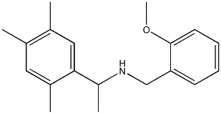 [(2-methoxyphenyl)methyl][1-(2,4,5-trimethylphenyl)ethyl]amine Struktur