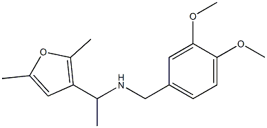 [(3,4-dimethoxyphenyl)methyl][1-(2,5-dimethylfuran-3-yl)ethyl]amine Struktur