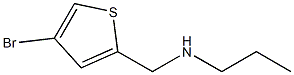 [(4-bromothiophen-2-yl)methyl](propyl)amine Struktur