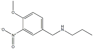 [(4-methoxy-3-nitrophenyl)methyl](propyl)amine Struktur