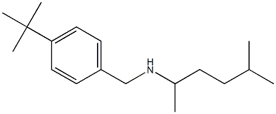 [(4-tert-butylphenyl)methyl](5-methylhexan-2-yl)amine Struktur