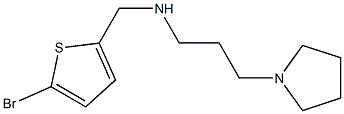 [(5-bromothiophen-2-yl)methyl][3-(pyrrolidin-1-yl)propyl]amine Struktur