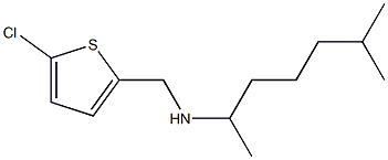 [(5-chlorothiophen-2-yl)methyl](6-methylheptan-2-yl)amine Struktur