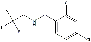 [1-(2,4-dichlorophenyl)ethyl](2,2,2-trifluoroethyl)amine Struktur