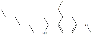 [1-(2,4-dimethoxyphenyl)ethyl](hexyl)amine Struktur