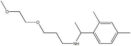 [1-(2,4-dimethylphenyl)ethyl][3-(2-methoxyethoxy)propyl]amine Struktur