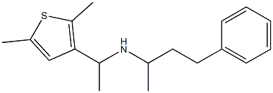 [1-(2,5-dimethylthiophen-3-yl)ethyl](4-phenylbutan-2-yl)amine Struktur