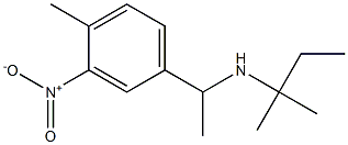 [1-(4-methyl-3-nitrophenyl)ethyl](2-methylbutan-2-yl)amine Struktur