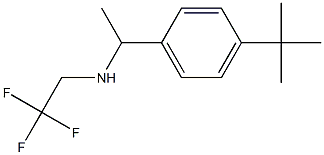 [1-(4-tert-butylphenyl)ethyl](2,2,2-trifluoroethyl)amine Struktur