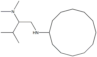 [1-(cyclododecylamino)-3-methylbutan-2-yl]dimethylamine Struktur