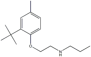 [2-(2-tert-butyl-4-methylphenoxy)ethyl](propyl)amine Struktur