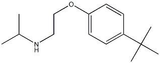 [2-(4-tert-butylphenoxy)ethyl](propan-2-yl)amine Struktur