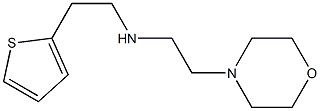 [2-(morpholin-4-yl)ethyl][2-(thiophen-2-yl)ethyl]amine Struktur