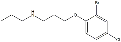 [3-(2-bromo-4-chlorophenoxy)propyl](propyl)amine Struktur