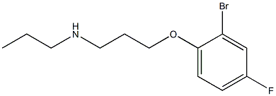 [3-(2-bromo-4-fluorophenoxy)propyl](propyl)amine Struktur