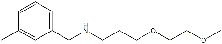 [3-(2-methoxyethoxy)propyl][(3-methylphenyl)methyl]amine Struktur