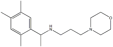 [3-(morpholin-4-yl)propyl][1-(2,4,5-trimethylphenyl)ethyl]amine Struktur