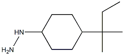 [4-(2-methylbutan-2-yl)cyclohexyl]hydrazine Struktur