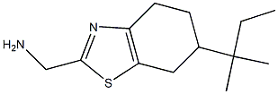 [6-(2-methylbutan-2-yl)-4,5,6,7-tetrahydro-1,3-benzothiazol-2-yl]methanamine Struktur