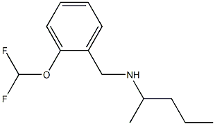 {[2-(difluoromethoxy)phenyl]methyl}(pentan-2-yl)amine Struktur