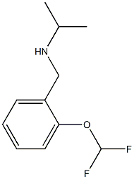 {[2-(difluoromethoxy)phenyl]methyl}(propan-2-yl)amine Struktur