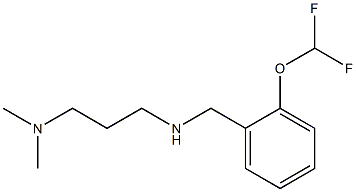 {[2-(difluoromethoxy)phenyl]methyl}[3-(dimethylamino)propyl]amine Struktur