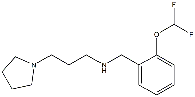 {[2-(difluoromethoxy)phenyl]methyl}[3-(pyrrolidin-1-yl)propyl]amine Struktur