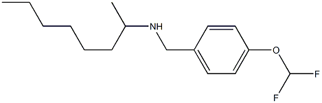 {[4-(difluoromethoxy)phenyl]methyl}(octan-2-yl)amine Struktur