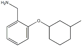 {2-[(3-methylcyclohexyl)oxy]phenyl}methanamine Struktur