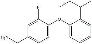 {4-[2-(butan-2-yl)phenoxy]-3-fluorophenyl}methanamine Struktur