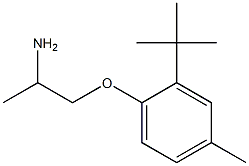 1-(2-tert-butyl-4-methylphenoxy)propan-2-amine Struktur