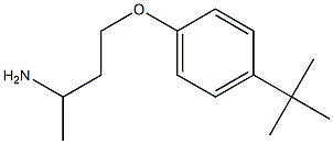 1-(3-aminobutoxy)-4-tert-butylbenzene Struktur