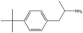 1-(4-tert-butylphenyl)propan-2-amine Struktur