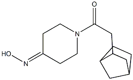 1-(bicyclo[2.2.1]hept-2-ylacetyl)piperidin-4-one oxime Struktur