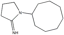 1-cyclooctylpyrrolidin-2-imine Struktur