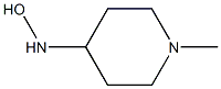 1-methylpiperidine-4-hydroxylamine Struktur